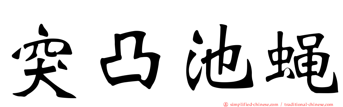 突凸池蝇