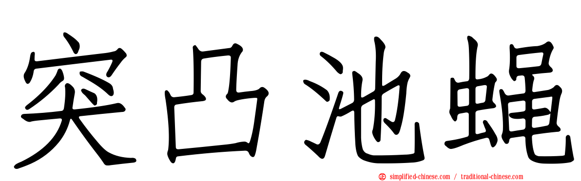 突凸池蝇