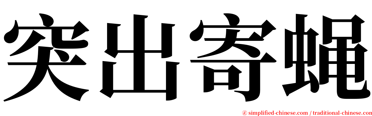突出寄蝇 serif font