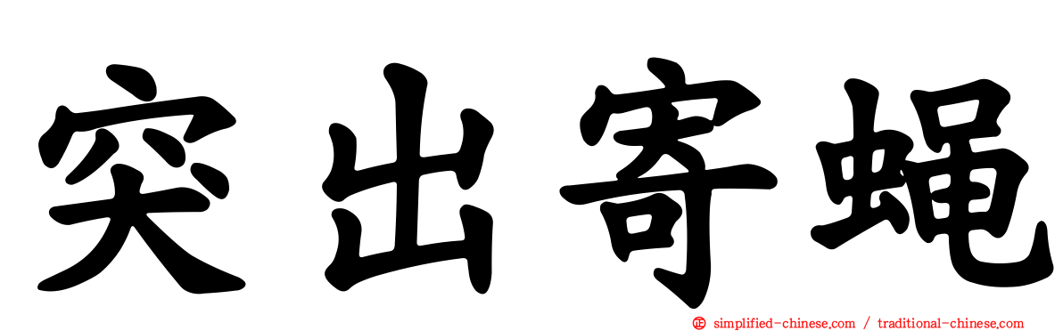 突出寄蝇