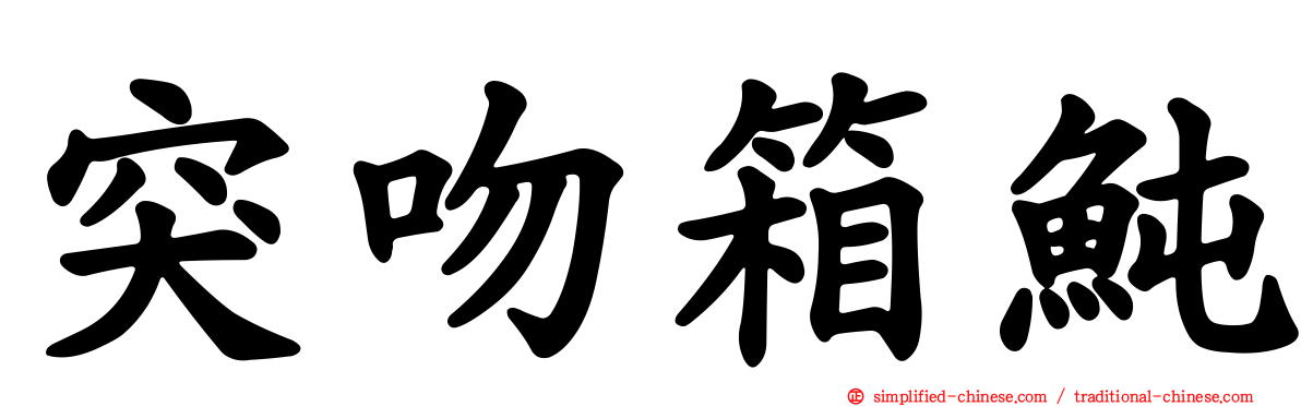 突吻箱鲀