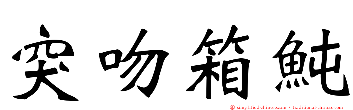 突吻箱鲀