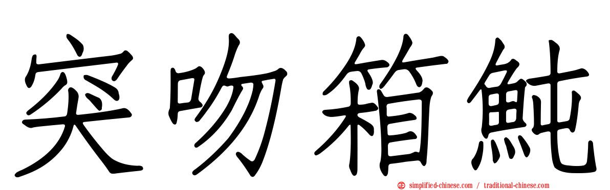 突吻箱鲀