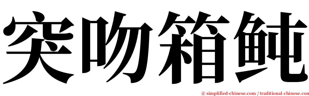 突吻箱鲀 serif font