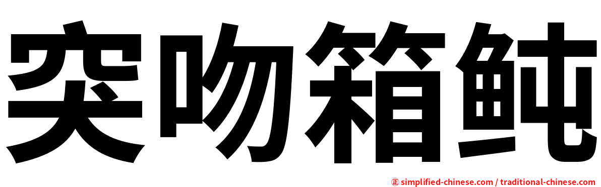 突吻箱鲀