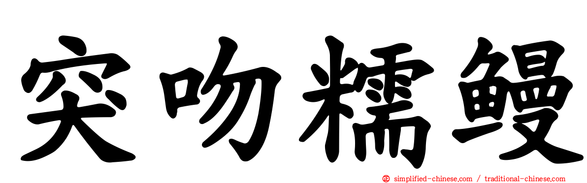 突吻糯鳗