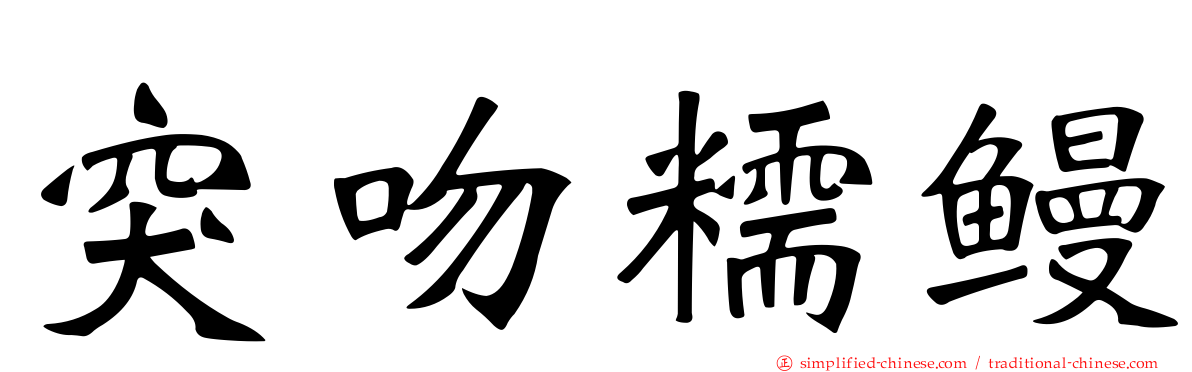 突吻糯鳗