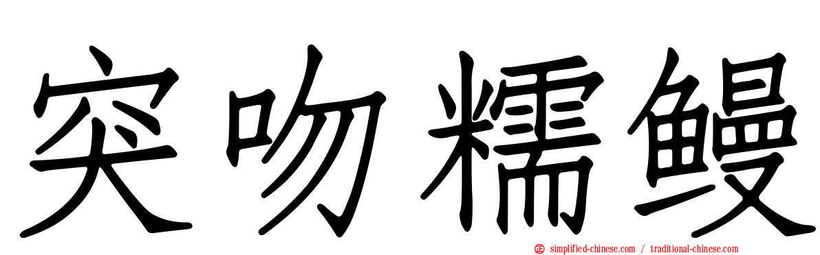 突吻糯鳗