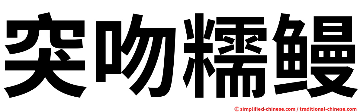 突吻糯鳗