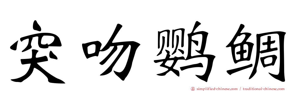 突吻鹦鲷