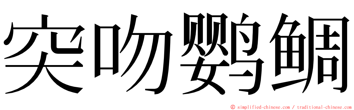 突吻鹦鲷 ming font