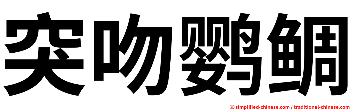 突吻鹦鲷