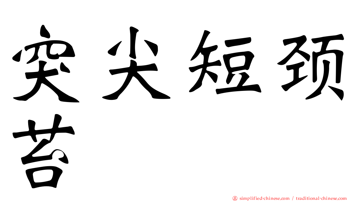突尖短颈苔
