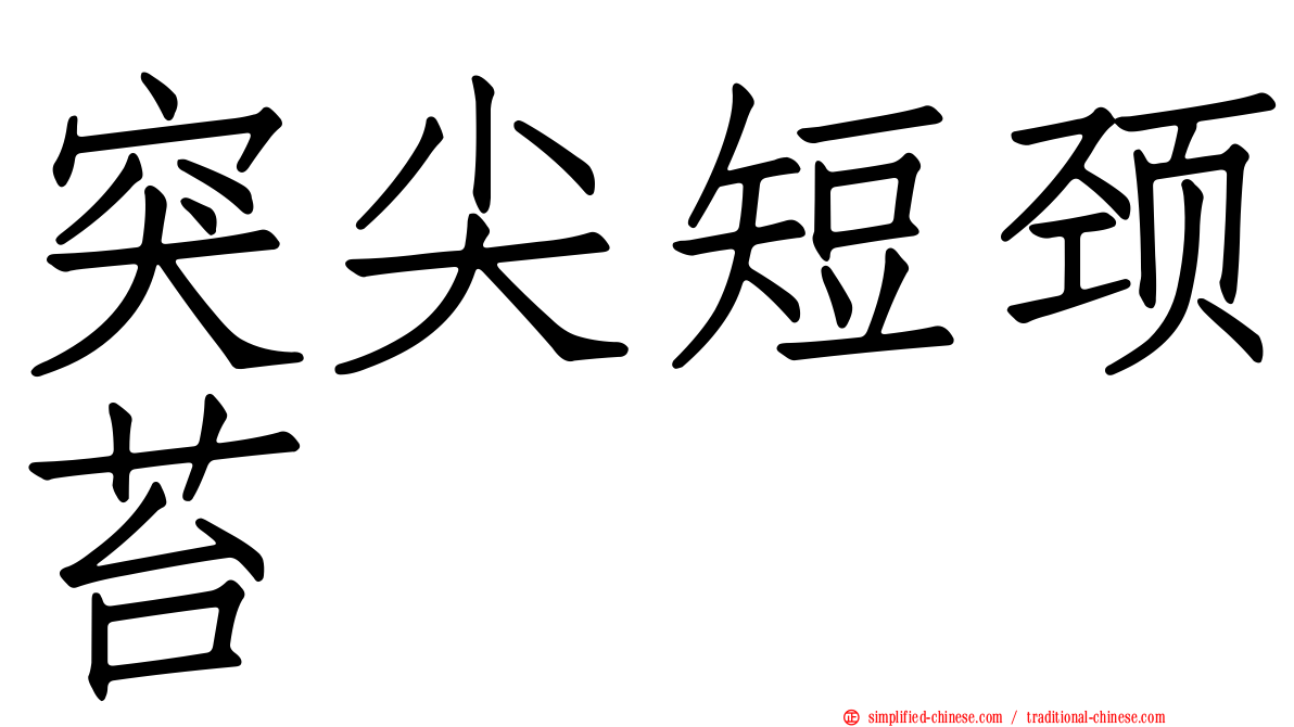 突尖短颈苔
