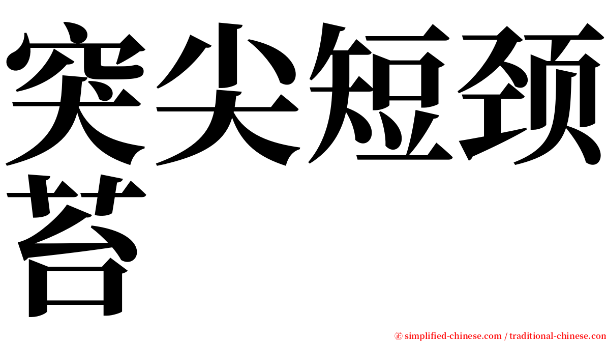 突尖短颈苔 serif font