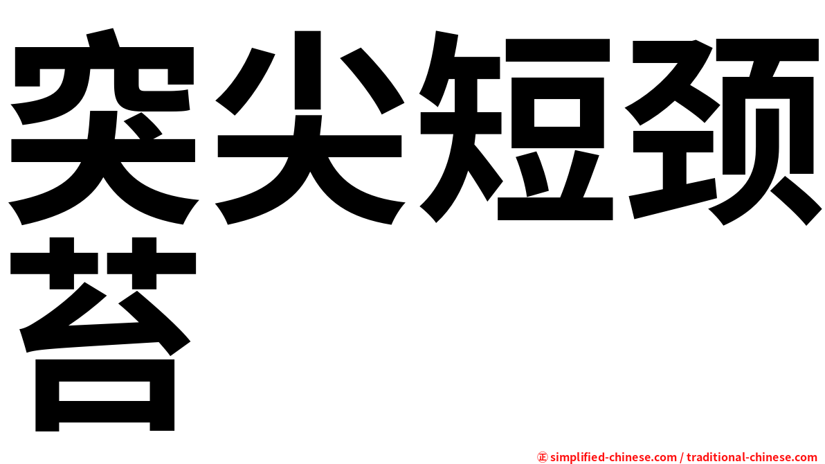 突尖短颈苔