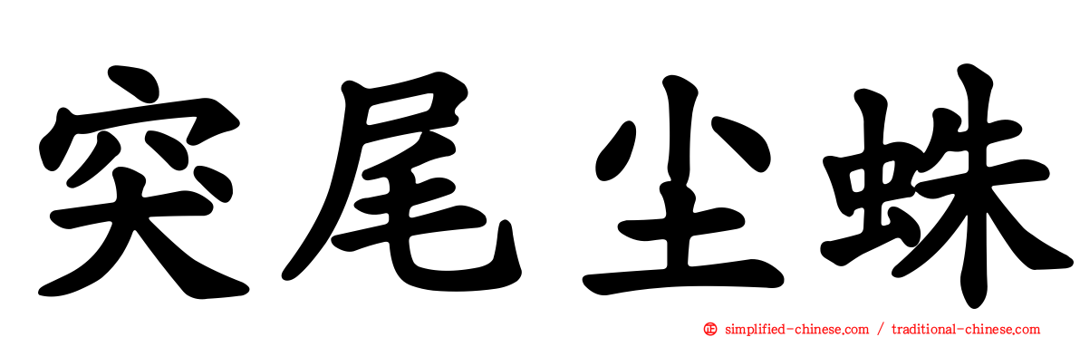 突尾尘蛛