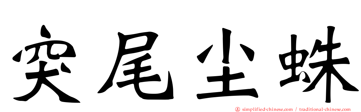 突尾尘蛛