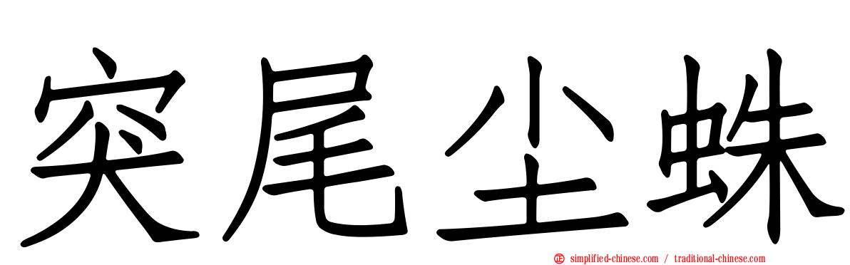 突尾尘蛛