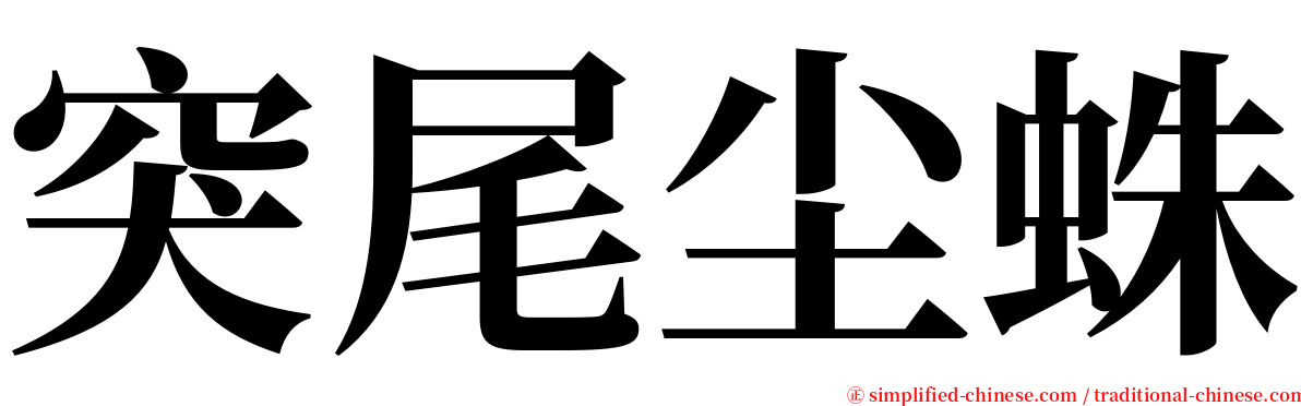突尾尘蛛 serif font