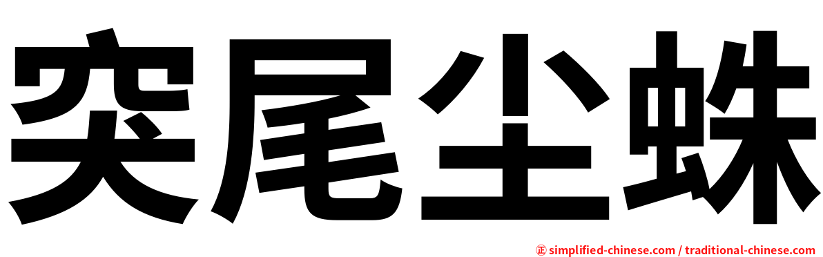 突尾尘蛛