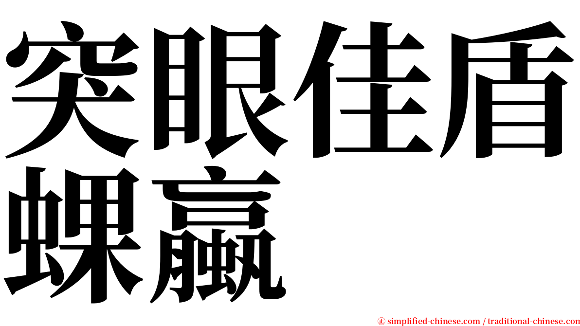 突眼佳盾蜾蠃 serif font