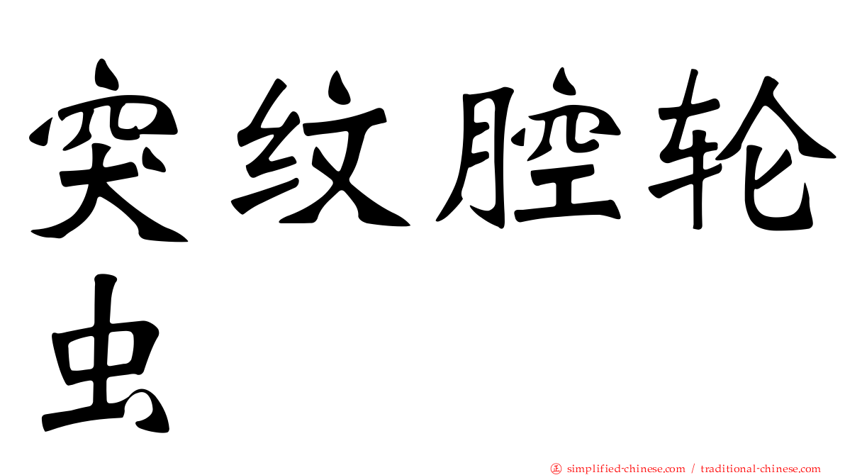 突纹腔轮虫