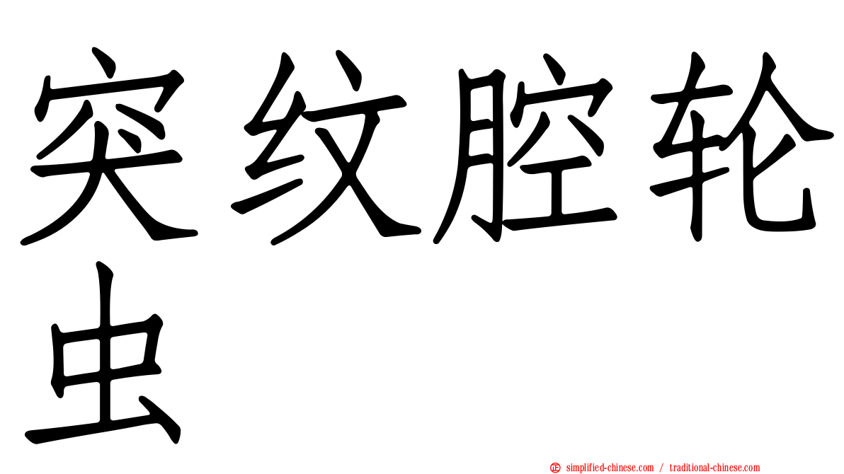 突纹腔轮虫