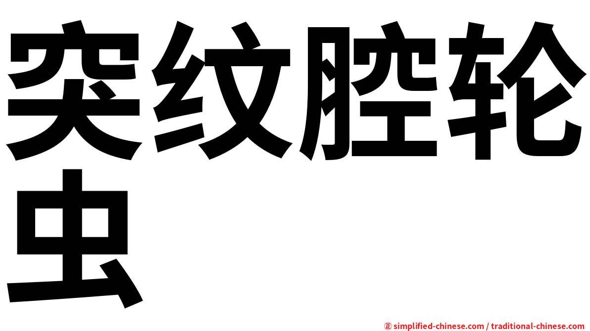 突纹腔轮虫