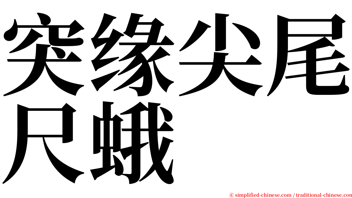 突缘尖尾尺蛾 serif font