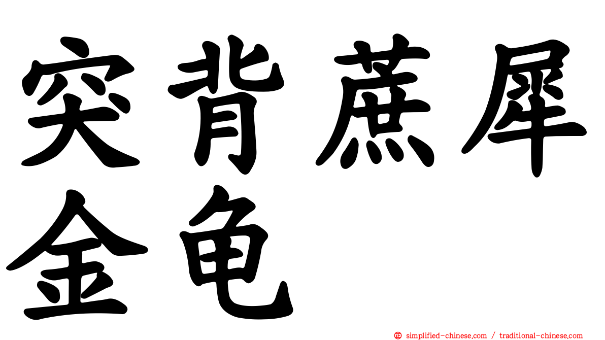 突背蔗犀金龟