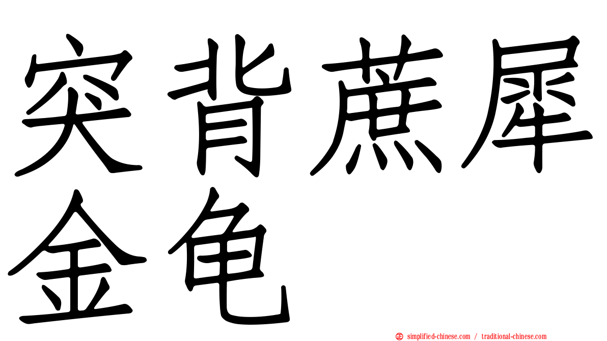 突背蔗犀金龟
