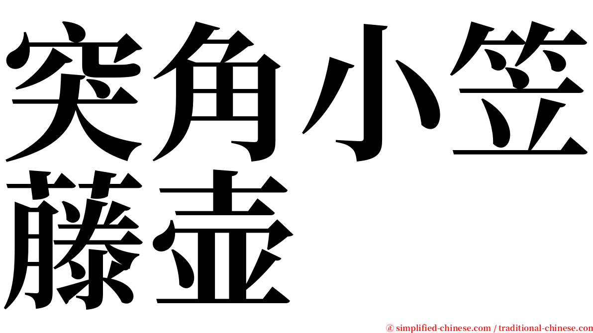 突角小笠藤壶 serif font