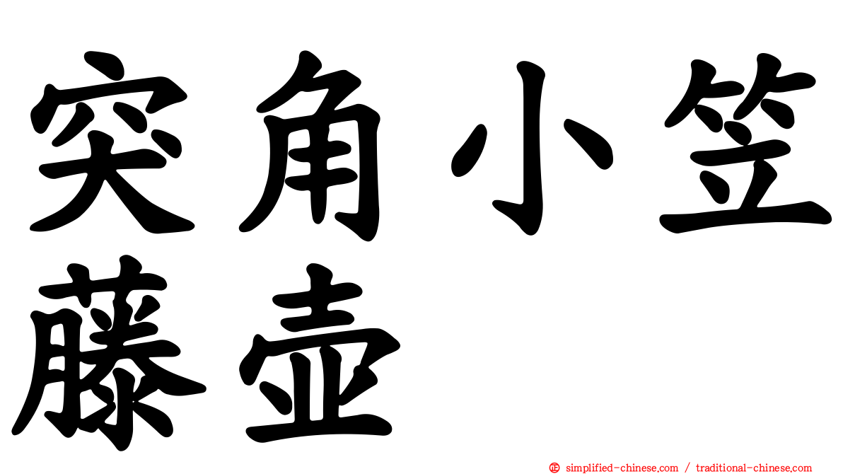 突角小笠藤壶
