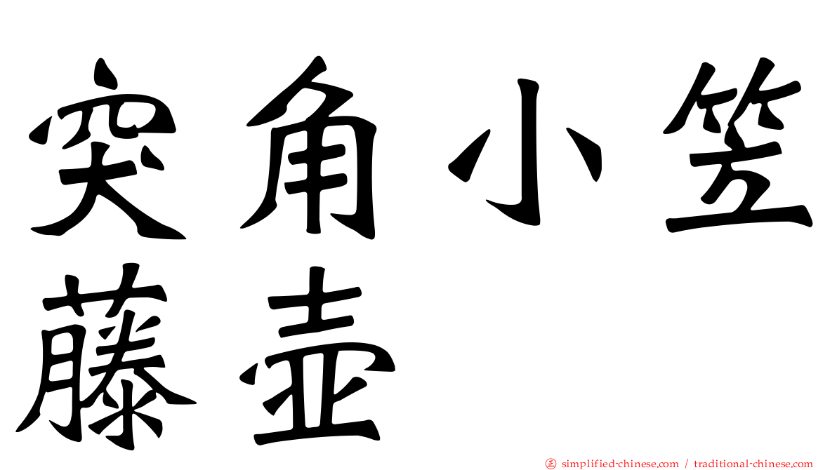 突角小笠藤壶