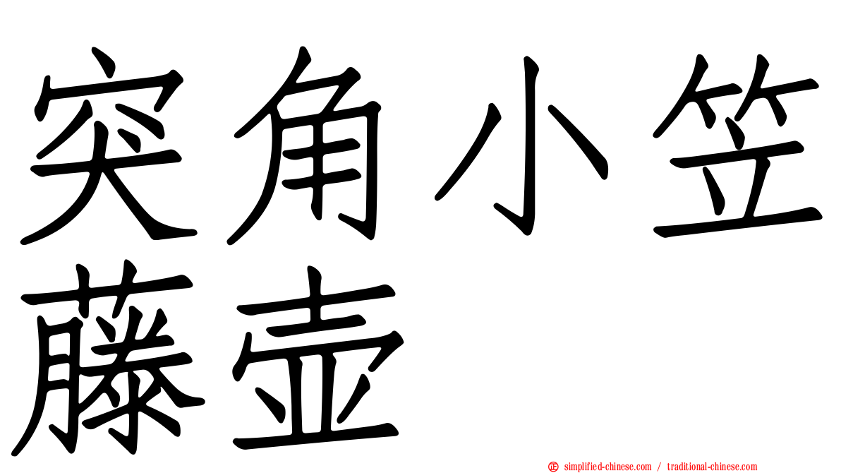突角小笠藤壶