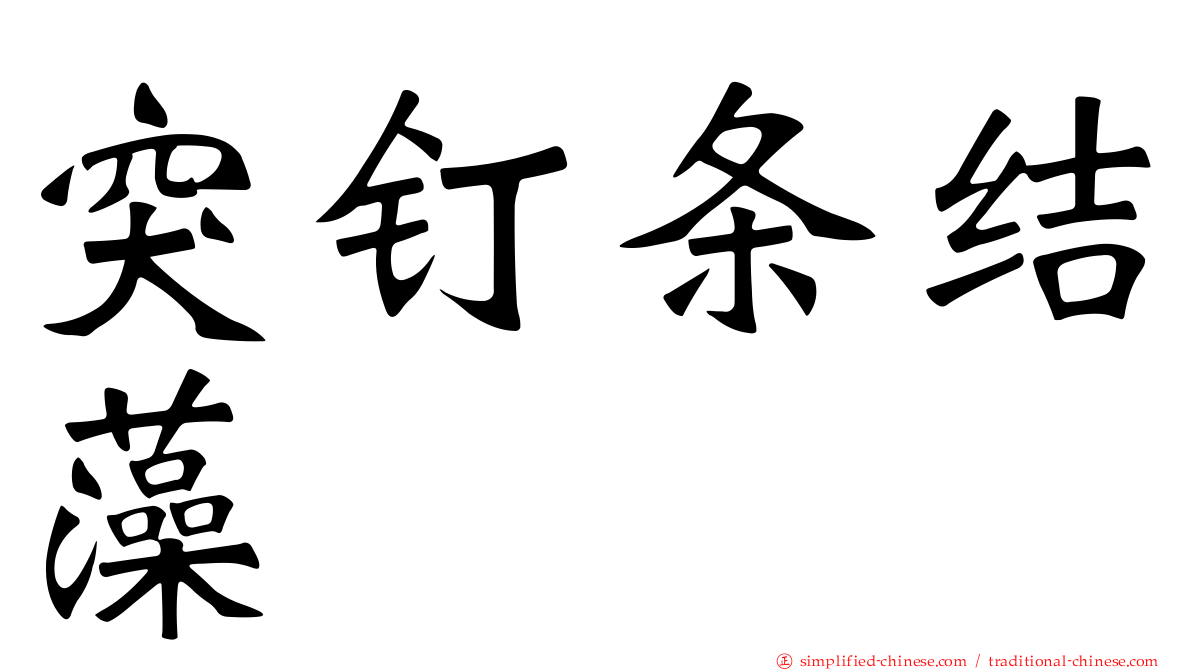 突钉条结藻