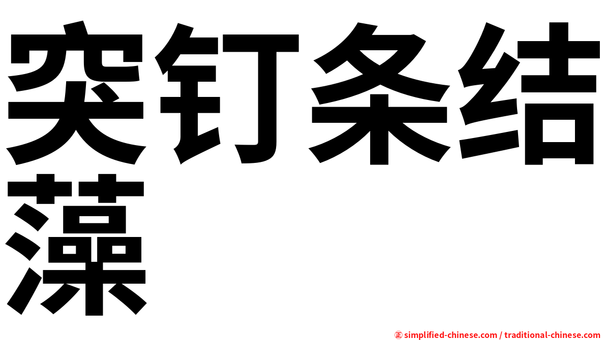突钉条结藻