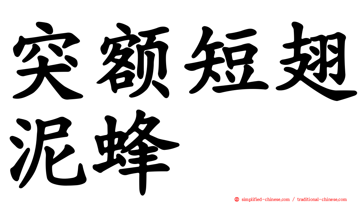 突额短翅泥蜂