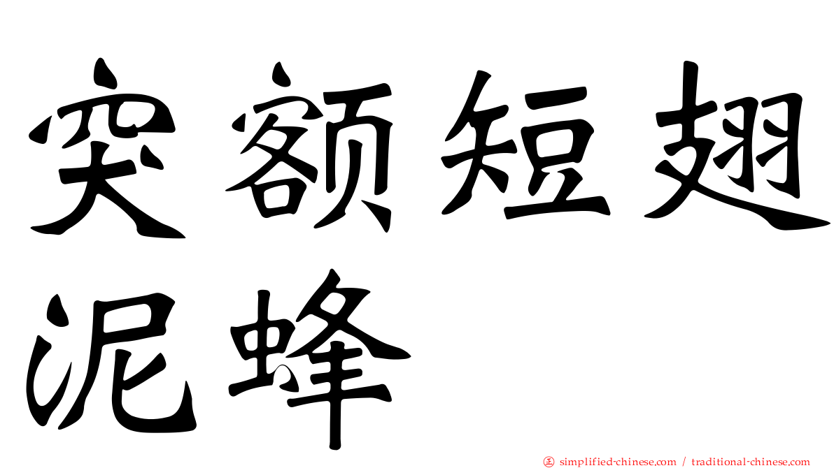 突额短翅泥蜂