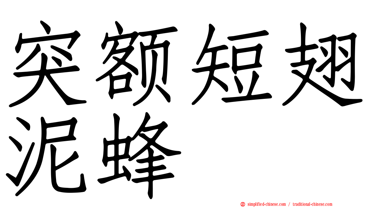 突额短翅泥蜂
