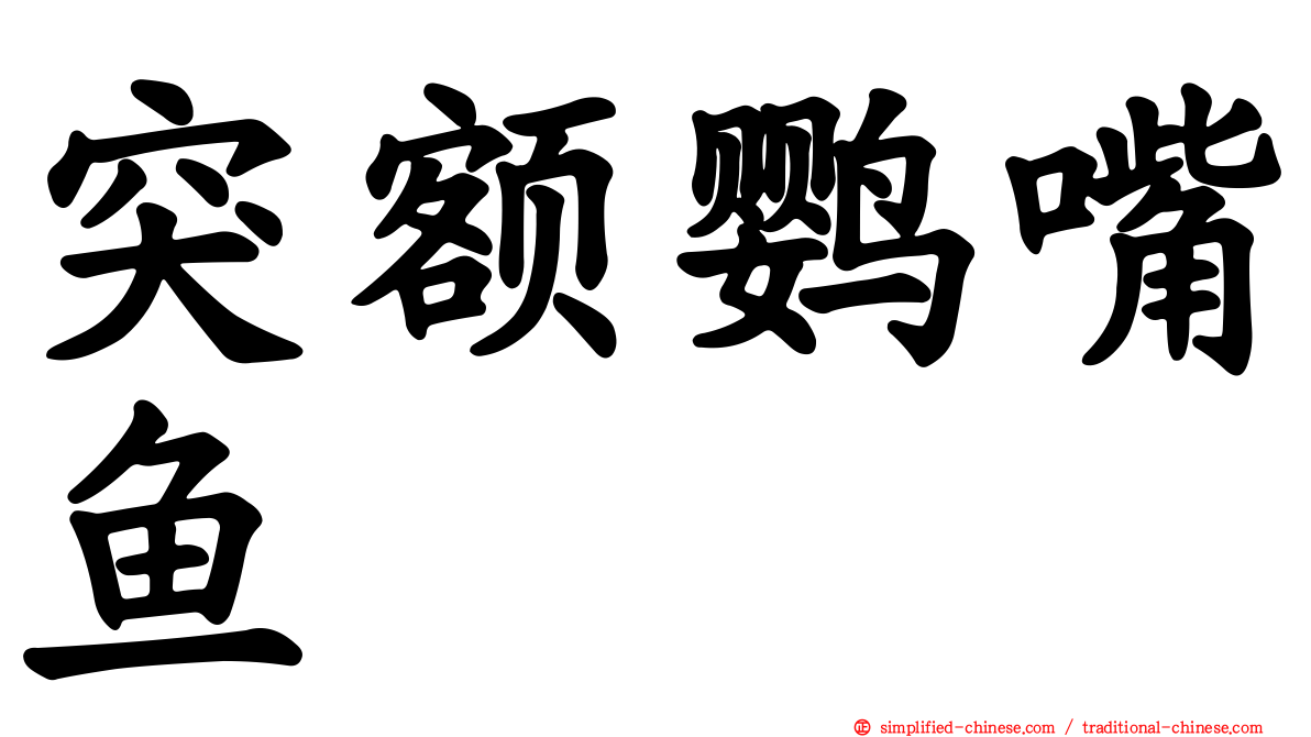 突额鹦嘴鱼