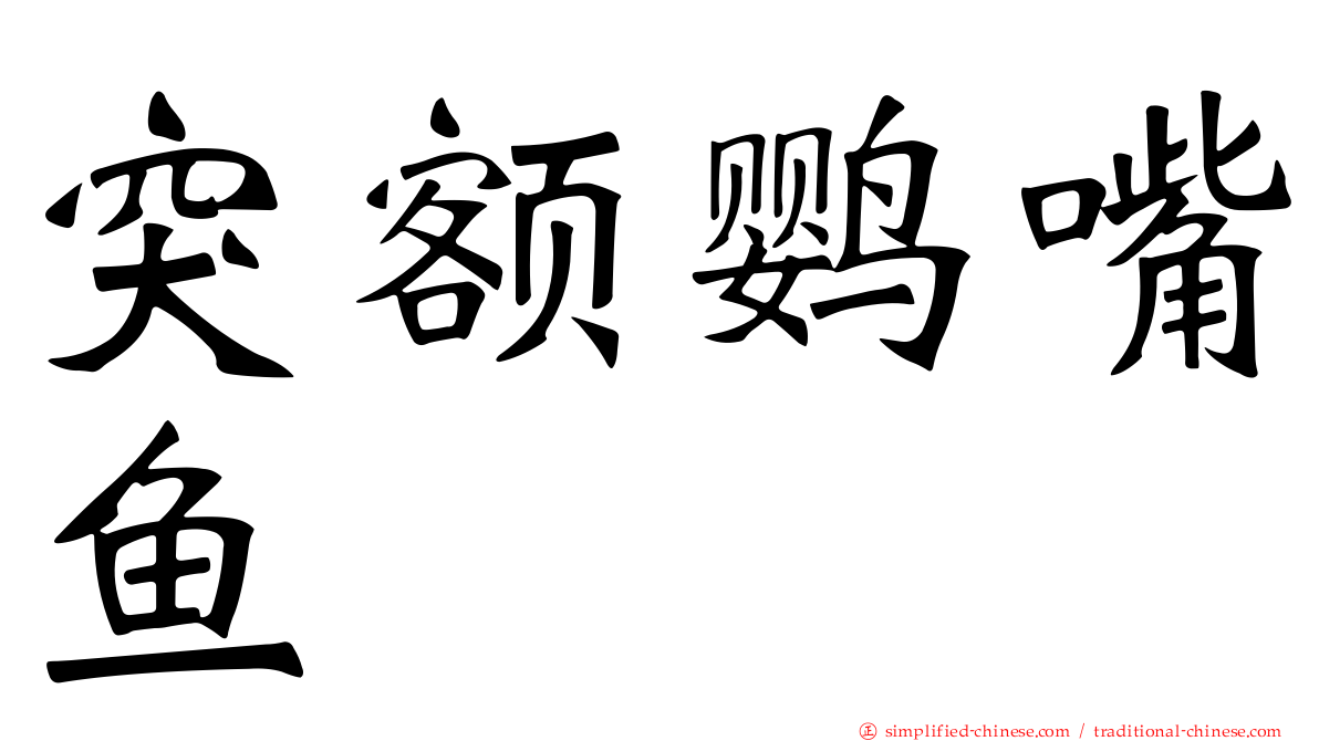 突额鹦嘴鱼