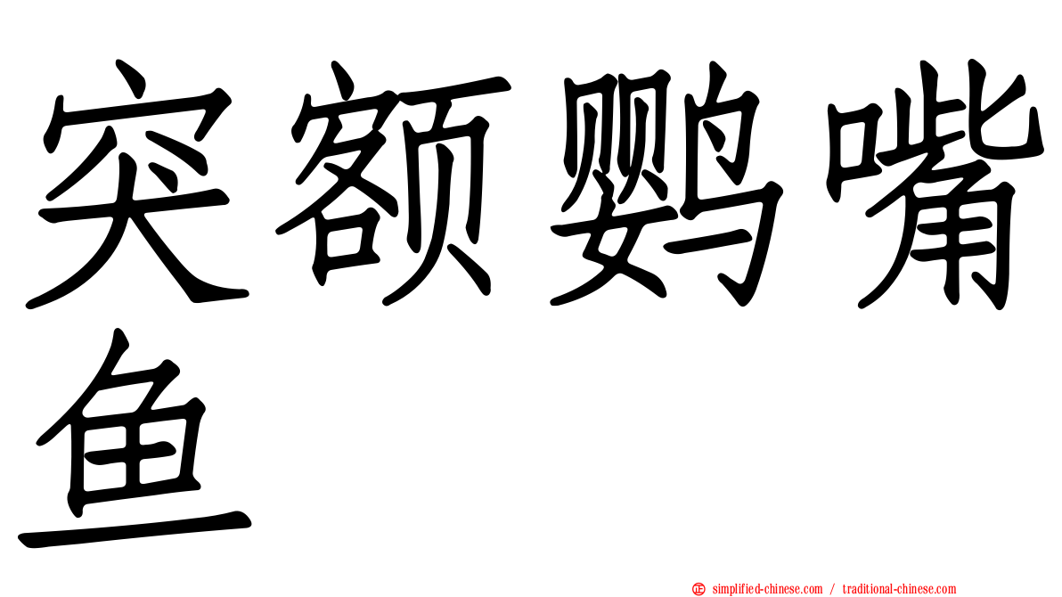 突额鹦嘴鱼