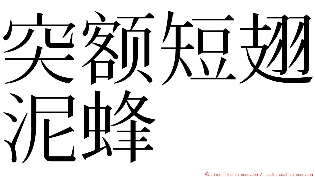 突额短翅泥蜂 ming font