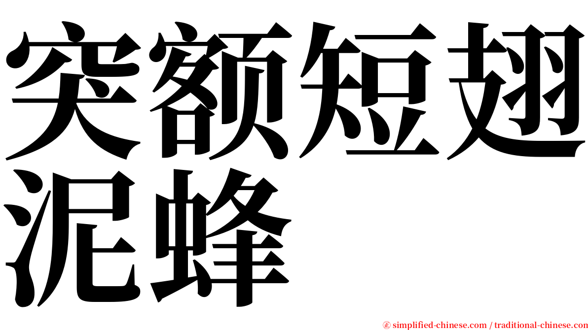 突额短翅泥蜂 serif font
