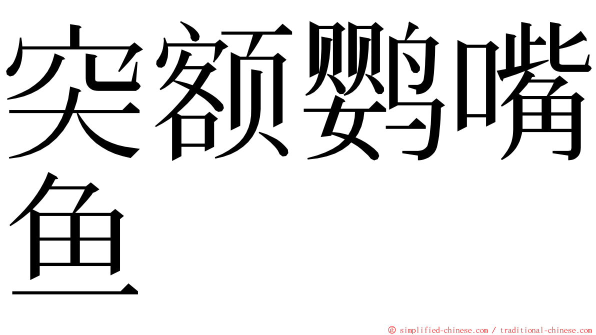 突额鹦嘴鱼 ming font