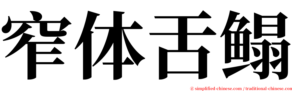 窄体舌鳎 serif font