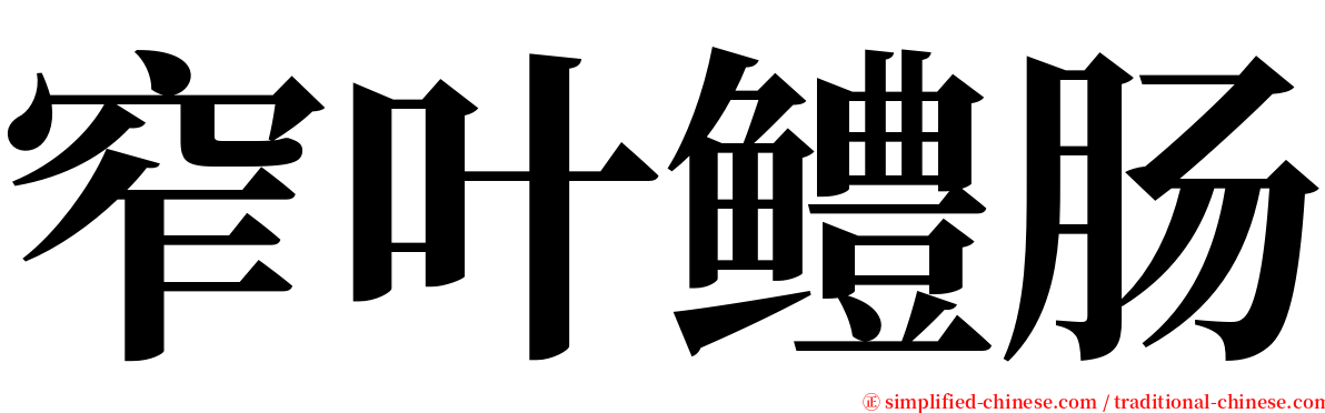 窄叶鳢肠 serif font