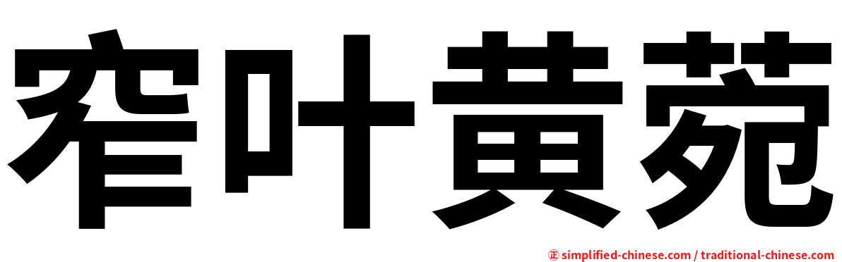 窄叶黄菀